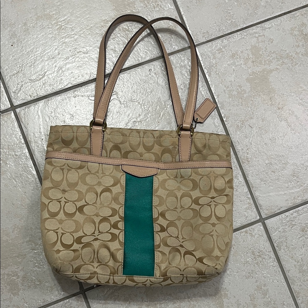 Stylish Tan and Green Tote Bag